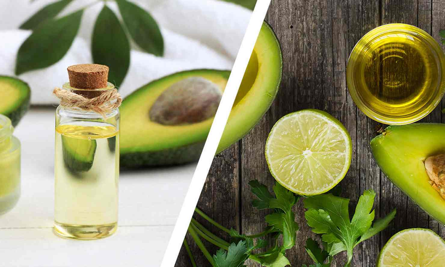Avocado Oil Healthiest Oil on the